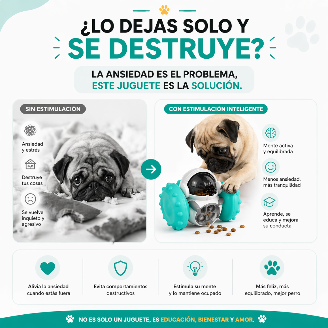 Juguete Interactivo Antiansiedad para Mascotas